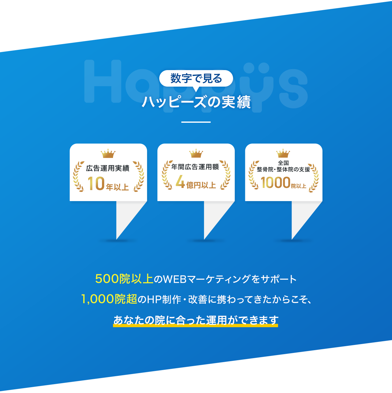 数字で見るハッピーズの実績 広告運用実績10年以上 年間広告運用額4億円以上 全国整骨院・整体院の支援1000院以上